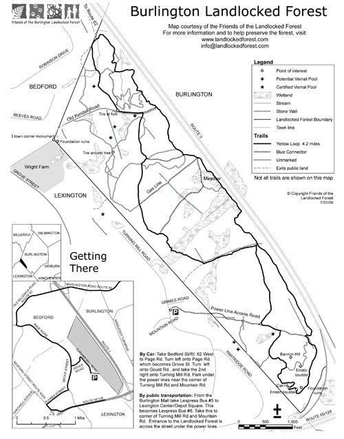 Landlocked Forest Trail Map
